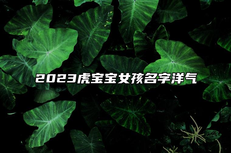 2023虎宝宝女孩名字洋气 虎宝宝女孩取名大全2023款