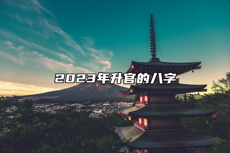 2023年升官的八字 乙酉日柱成绩非凡