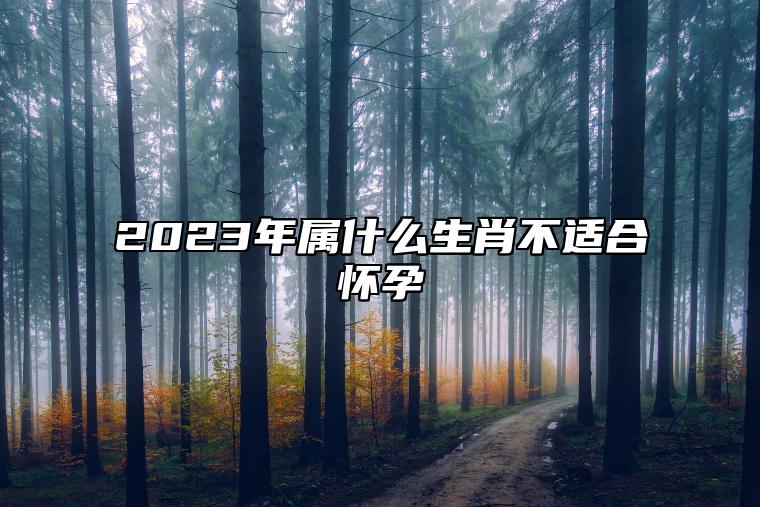 2023年属什么生肖不适合怀孕 2023年怀孕生男生女表