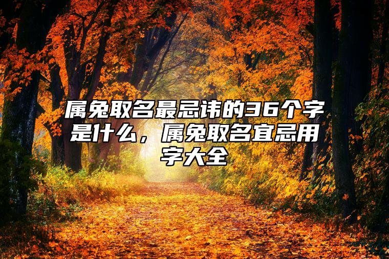 属兔取名最忌讳的36个字是什么，属兔取名宜忌用字大全