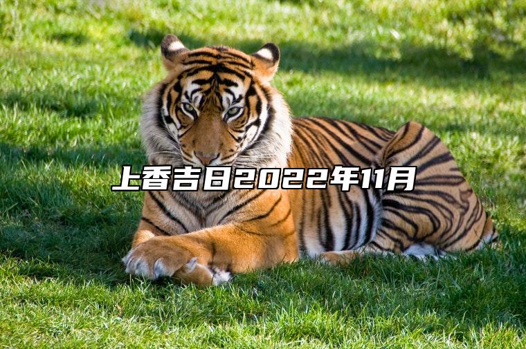 上香吉日2022年11月 上香上等吉日查询