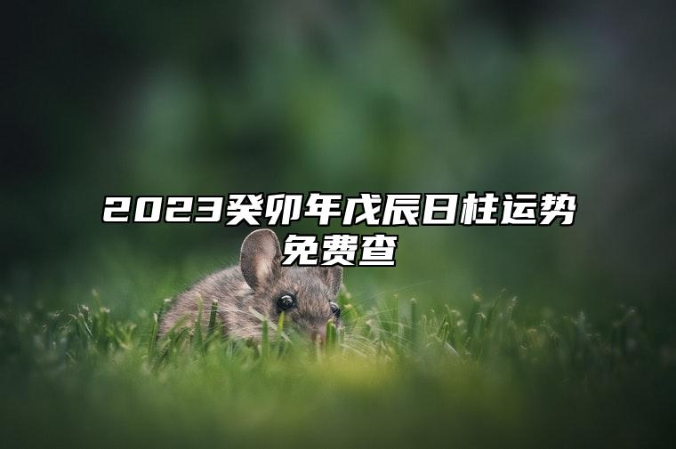 2023癸卯年戊辰日柱运势免费查 不同时辰出生命运详解