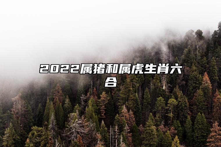 2022属猪和属虎生肖六合 相互扶持恩爱如初