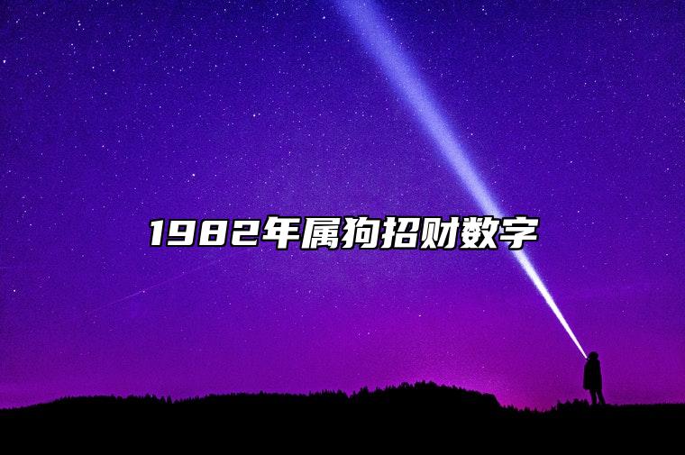 1982年属狗招财数字 数字5和10可以带来好运