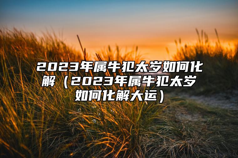 2023年属牛犯太岁如何化解（2023年属牛犯太岁如何化解大运）