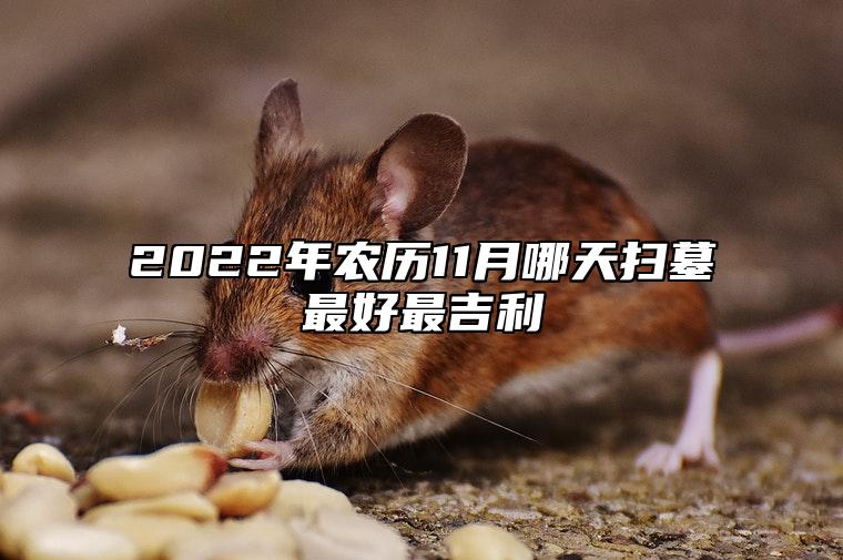 2022年农历11月哪天扫墓最好最吉利 是不是扫墓吉日