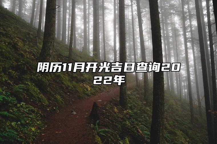 阴历11月开光吉日查询2022年 适合开光吗？