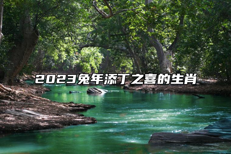 2023兔年添丁之喜的生肖 属猪人宜添丁