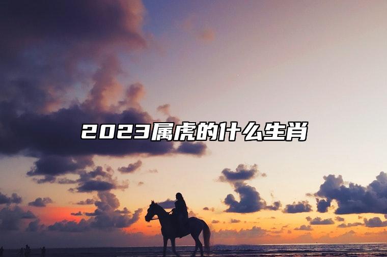 2023属虎的什么生肖 兔年属虎贵人生肖是什么