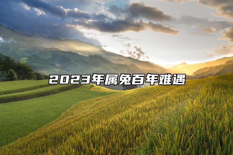 2023年属兔百年难遇 黑兔之年的说法