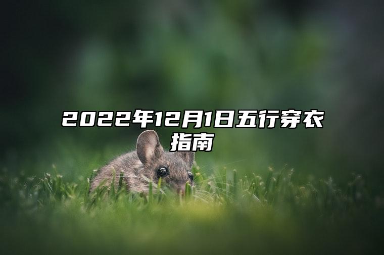 2022年12月1日五行穿衣指南 今天什么颜色旺桃花