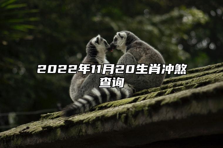 今日生肖冲煞 2022年11月20日冲什么生肖,属什么生肖