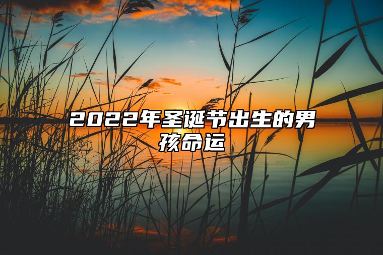 2022年圣诞节出生的男孩命运 事业顺利婚姻幸福