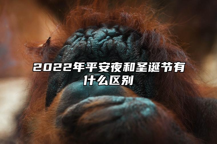 2022年平安夜和圣诞节有什么区别 平安夜的活动有哪些