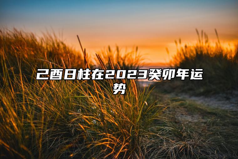 己酉日柱在2023癸卯年运势 事业发展极顺遂