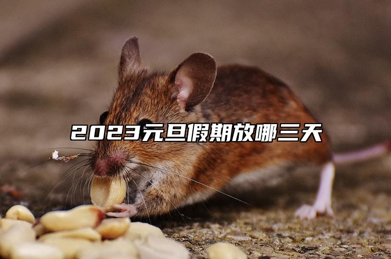 2023元旦假期放哪三天 元旦的由来是什么