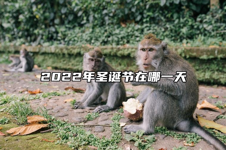 2022年圣诞节在哪一天 每年的12月25日