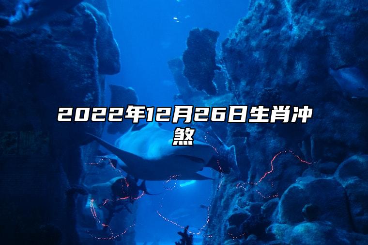 今日生肖冲煞 2022年12月26日属相相冲一览