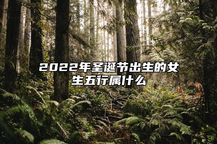 2022年圣诞节出生的女生五行属什么 五行属水感情丰富