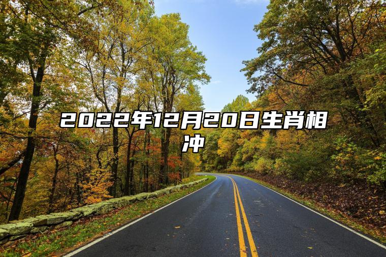 2022年12月20日生肖相冲 和什么属相不合