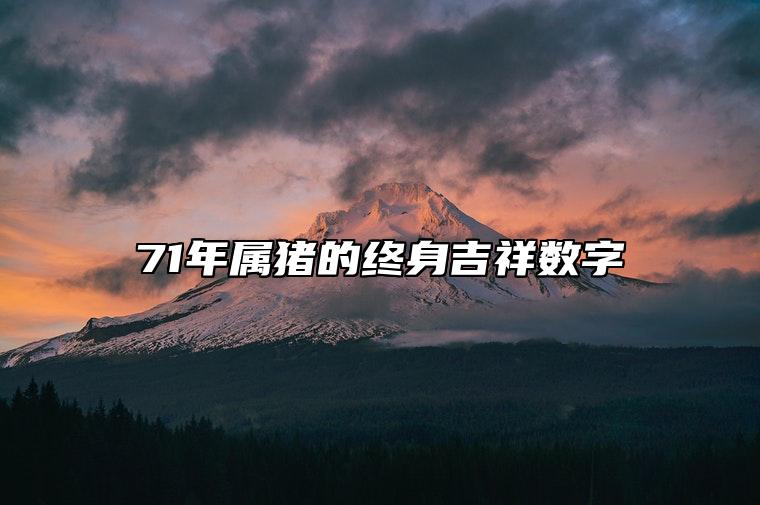 71年属猪的终身吉祥数字 数字6让婚姻幸福美满