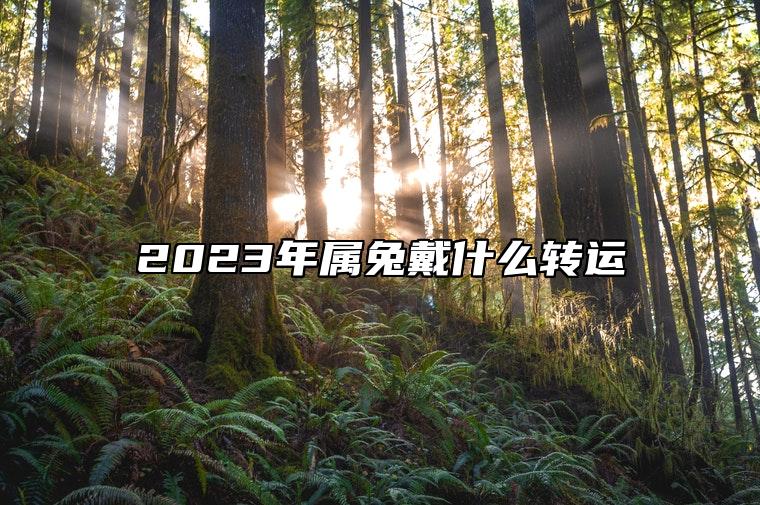 2023年属兔戴什么转运 文殊菩萨佛是生肖兔的本命佛