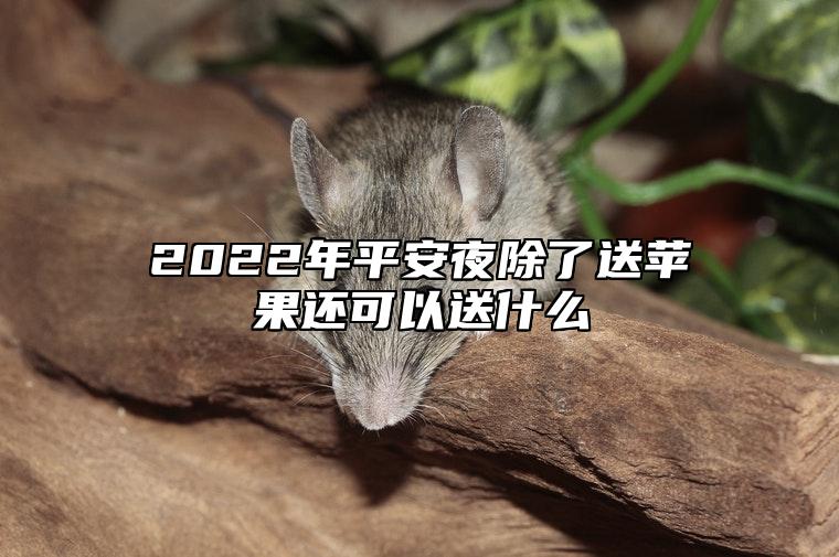 2022年平安夜除了送苹果还可以送什么 不同国家圣诞节礼物有什么区别