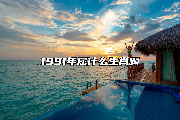 1991年属什么生肖啊 91年属什么生肖年