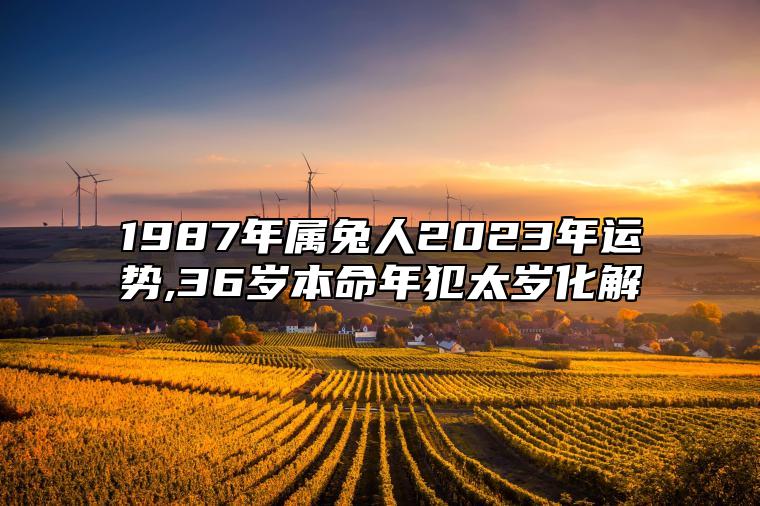 1987年属兔人2023年运势,36岁本命年犯太岁化解 36岁生肖兔的人本命年犯太岁化解方式