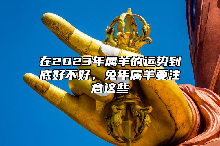 在2023年屬羊的運勢到底好不好,兔年屬羊要注意這些