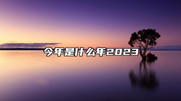 今年是什么年2023 今年是什么年2023年属相