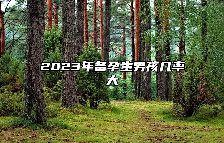 2023年备孕生男孩几率大 哪个月份容易生男宝宝