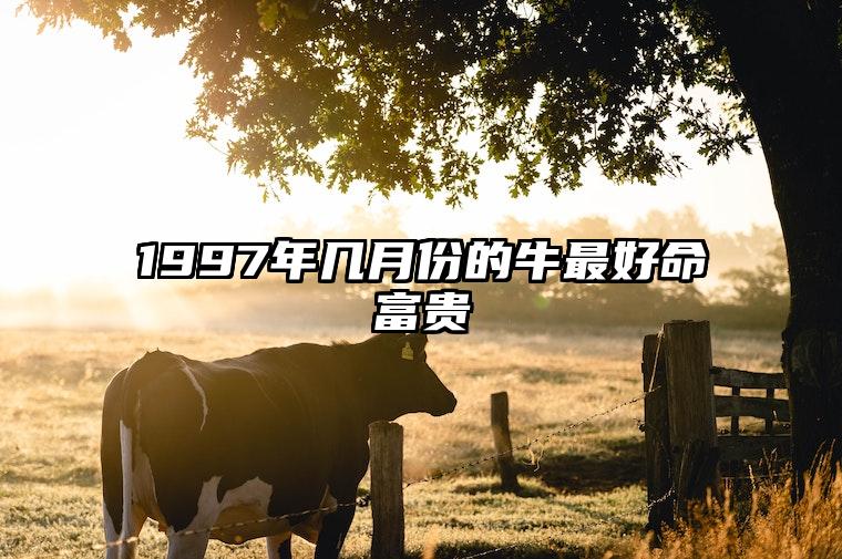 1997年几月份的牛最好命富贵 1997年属牛的最佳配偶