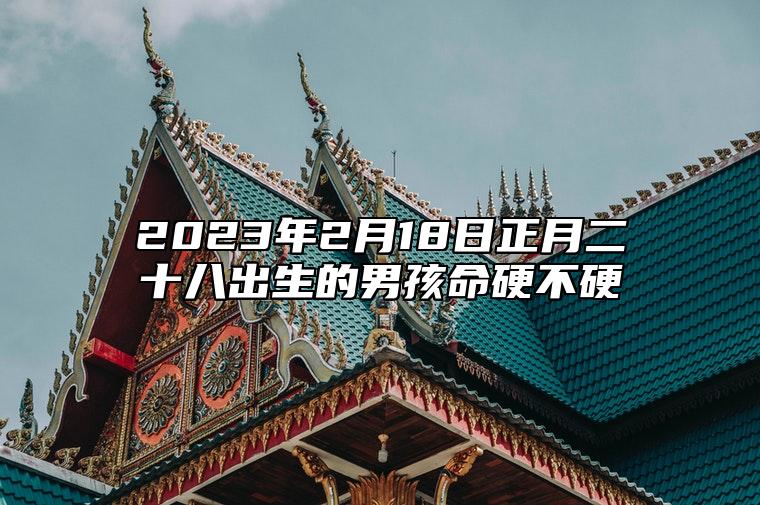 2023年2月18日正月二十八出生的男孩命硬不硬 八字命局富裕