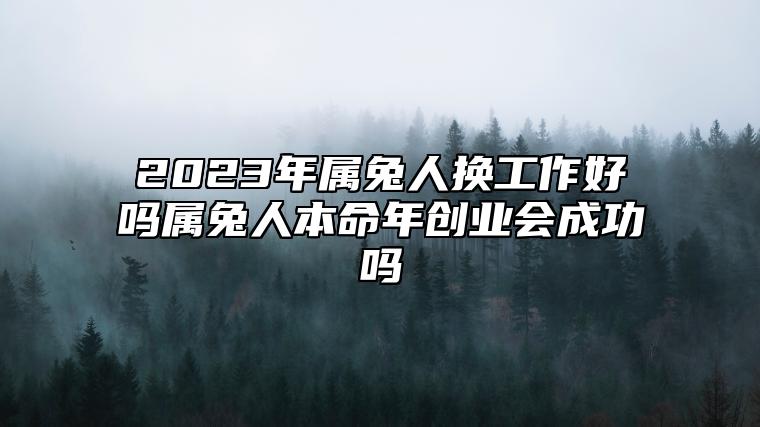 2023年属兔人换工作好吗？属兔人本命年创业会成功吗？