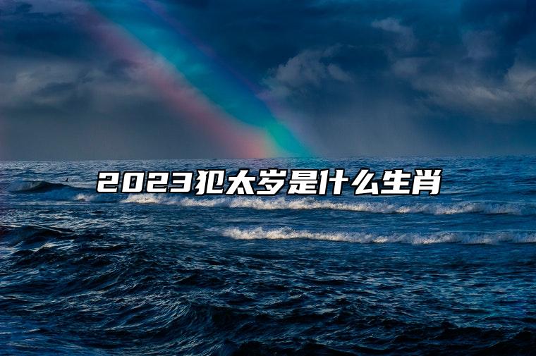 2023犯太岁是什么生肖 属龙人破财漏财