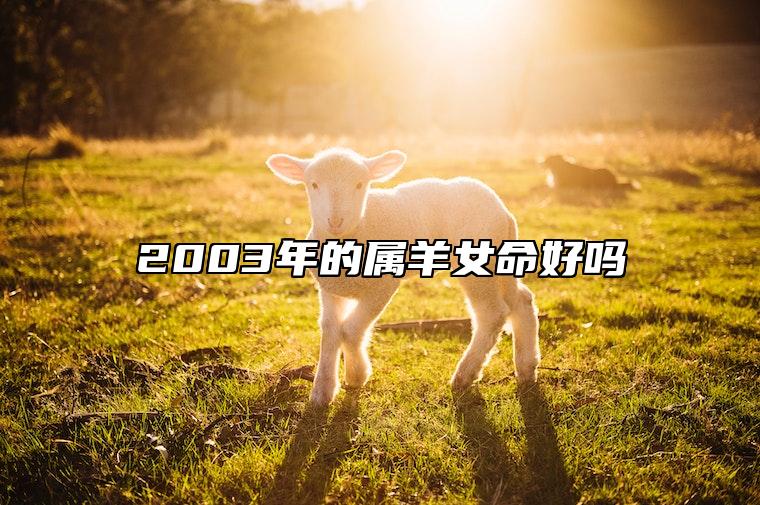 2003年的屬羊女命好嗎 2003年的屬羊女命好嗎命運如何