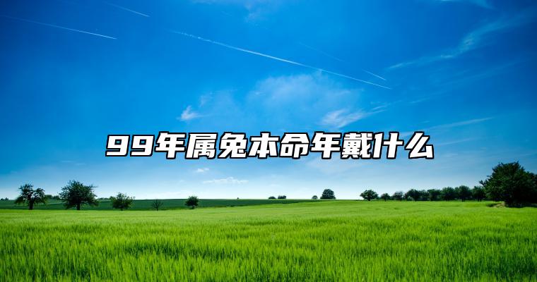 99年属兔本命年戴什么 戴黑曜石吊坠可护佑平安