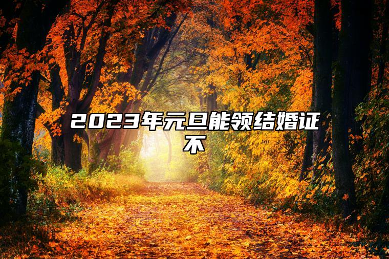 2023年元旦能领结婚证不 领证有意义的日子