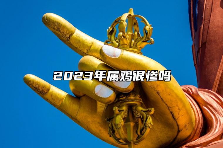 2023年属鸡很惨吗 职业压力大且经济状况差