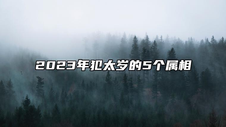 2023年犯太岁的5个属相 诸事不顺易招惹小人