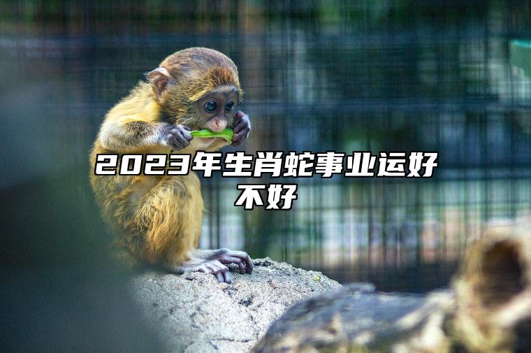 2023年生肖蛇事业运好不好 属蛇人在2023年创业会顺利吗