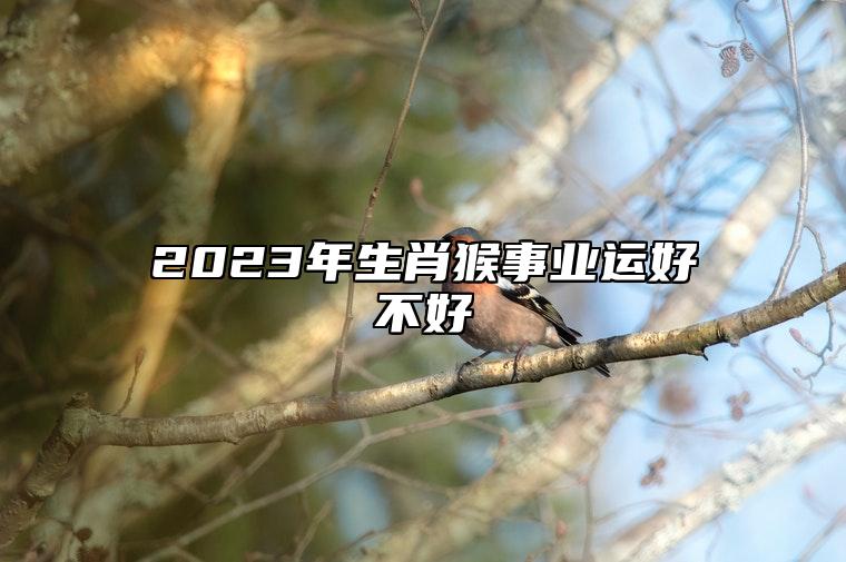 2023年生肖猴事业运好不好 属猴人在2023年创业会顺利吗