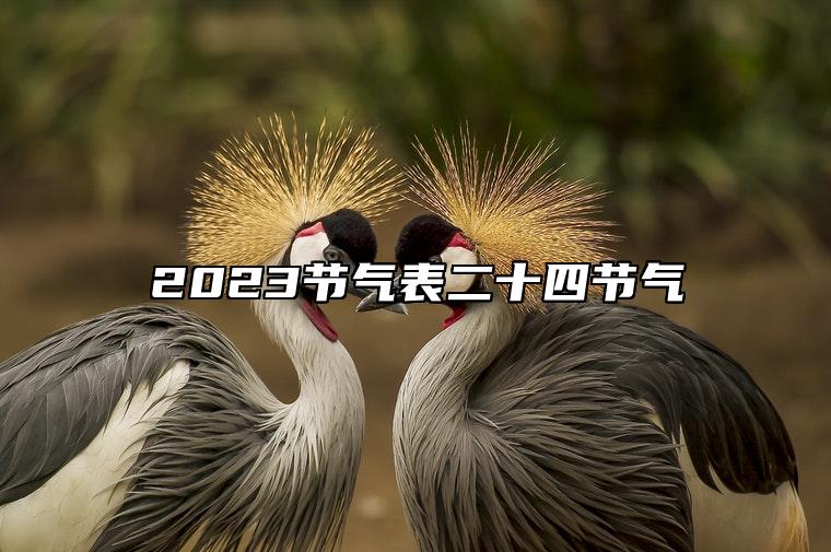 2023节气表二十四节气  二十四节气的意义