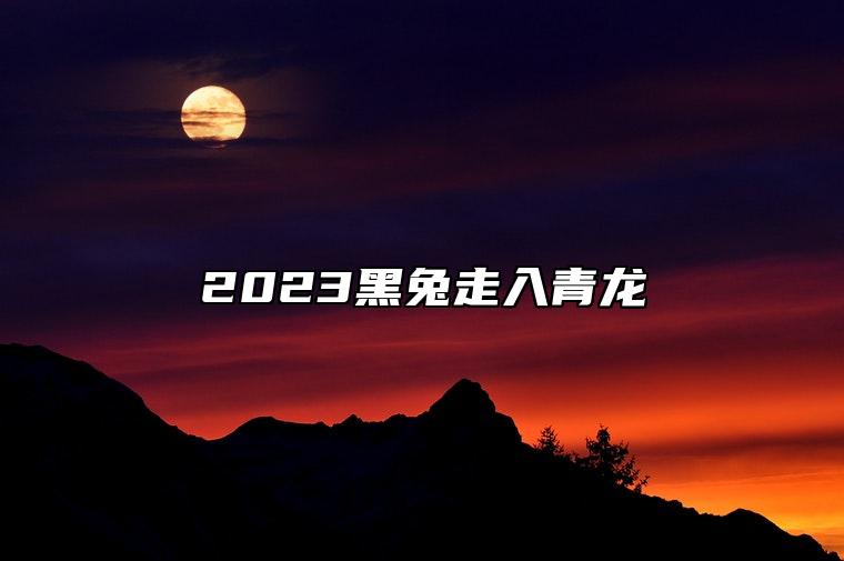 2023黑兔走入青龙 为什么说2023年是黑兔年