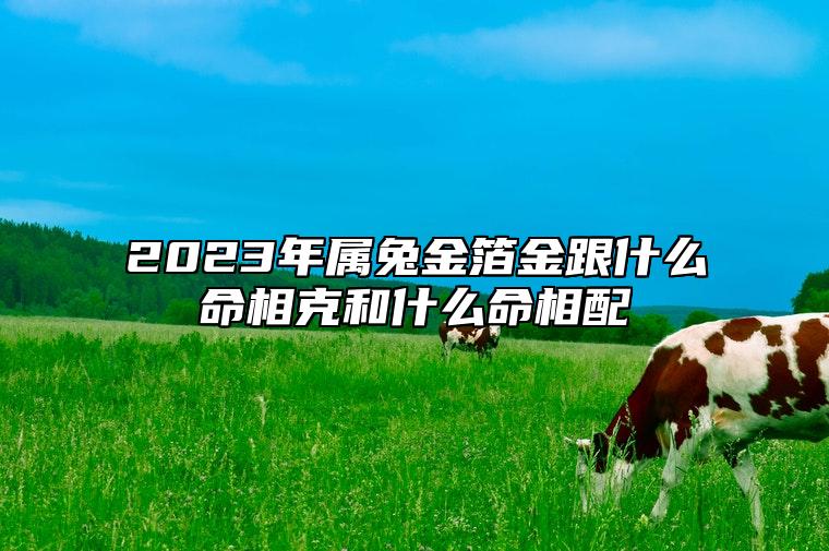 2023年属兔金箔金跟什么命相克和什么命相配