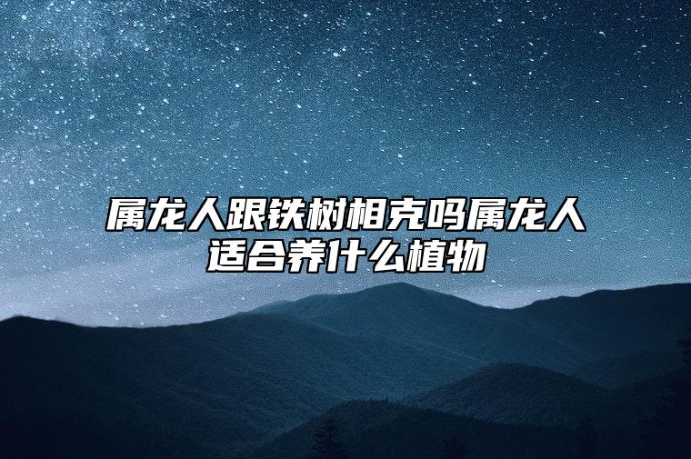 属龙人跟铁树相克吗？属龙人适合养什么植物？