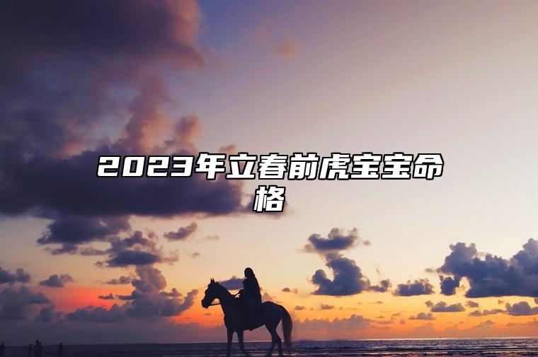 2023年立春前虎宝宝命格 五行缺什么