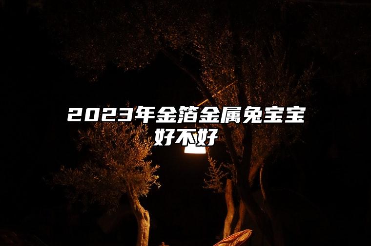 2023年金箔金属兔宝宝好不好 2023是金兔吗