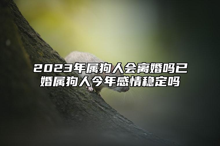 2023年屬狗人會離婚嗎?已婚屬狗人今年感情穩定嗎